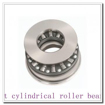 81168 Thrust cylindrical roller bearings