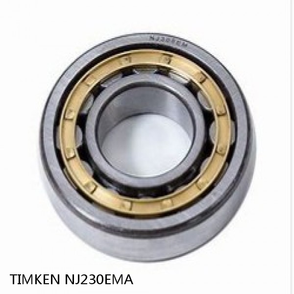 NJ230EMA TIMKEN Cylindrical Roller Radial Bearings